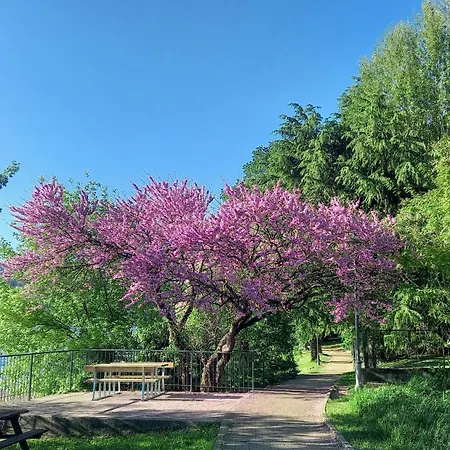 Appartamento Meridian House 2