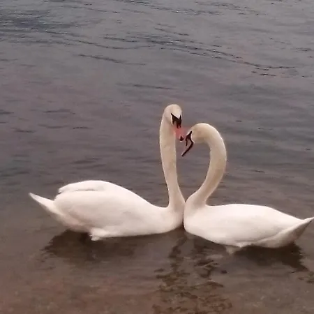 Meridian House 2 Lecco